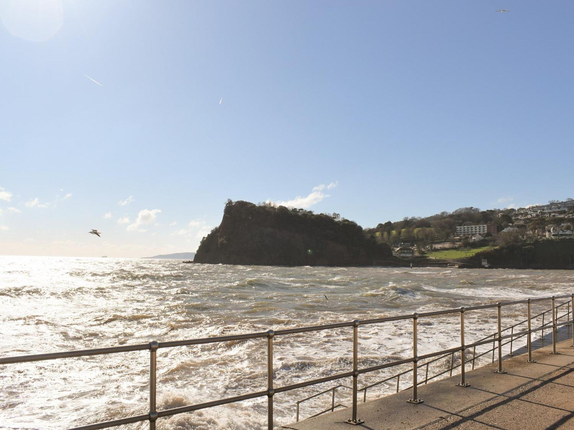 Primrose Cottage Teignmouth Eksteriør bilde